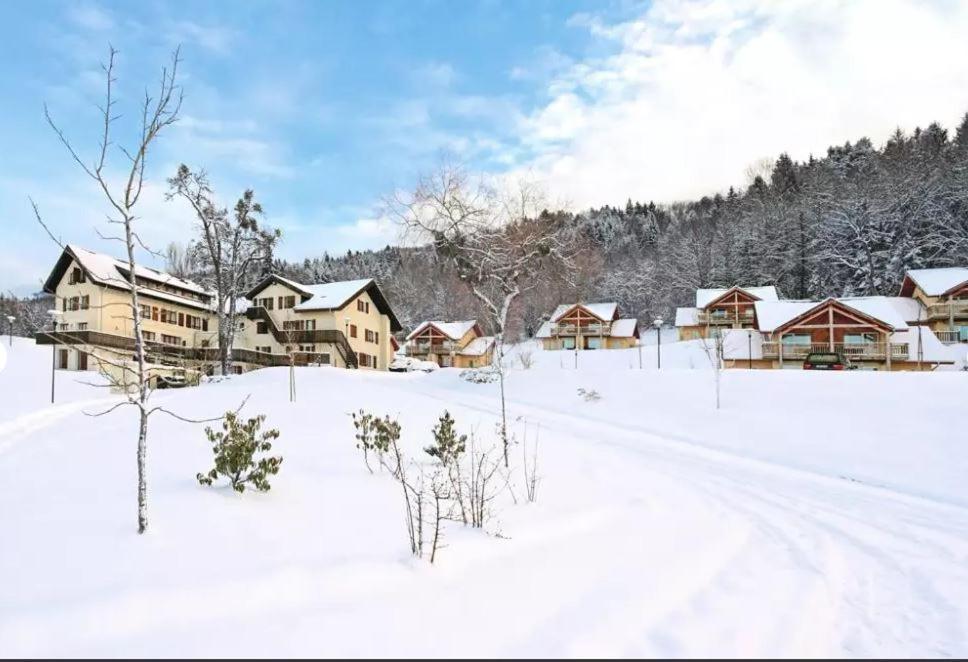 Duplex-Chalet Entre Lac Et Montagne Avec Balcon Lugrin Exterior foto